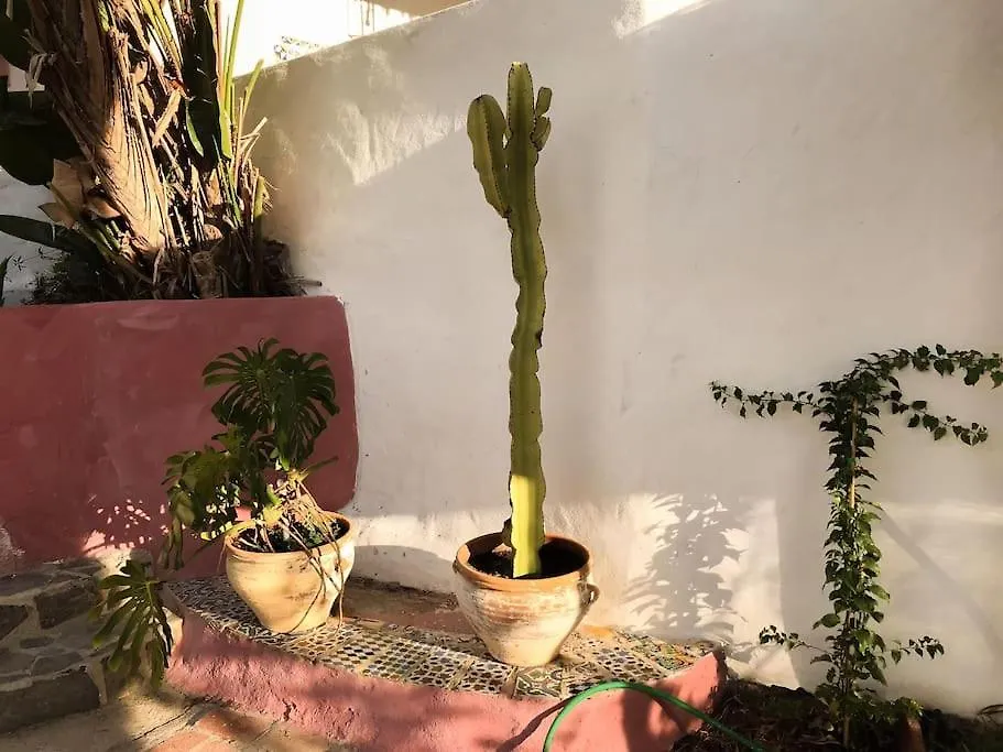 Little Paradise In Fuente Conejo Malaga Villa